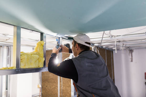Best Specialized Insulation Services in Tanque Verde, AZ