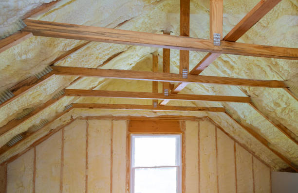 Best Residential Insulation in Tanque Verde, AZ