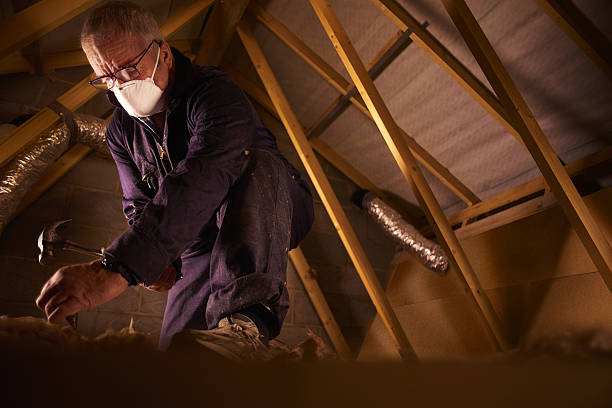 Best Cellulose Insulation in Tanque Verde, AZ